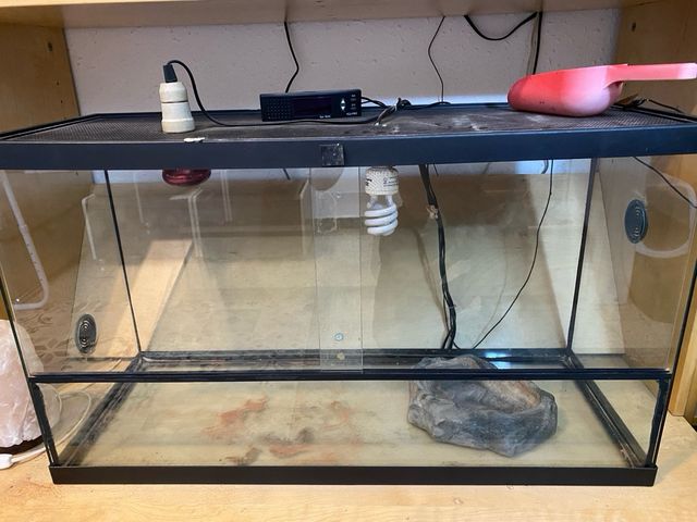 Terrario de reptiles