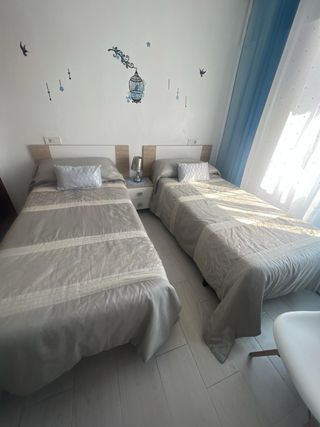 ALQUILO PISO en pri-linea BENIDORM PLAYA LEVANTE