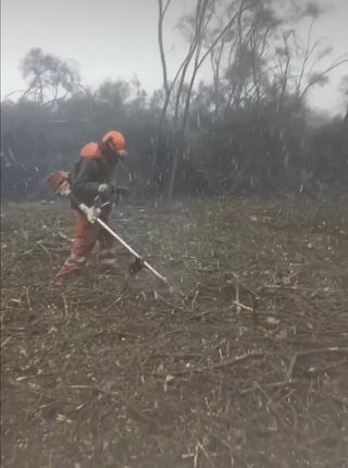 Limpieza de parcelas 