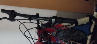 Bicicleta de adulto