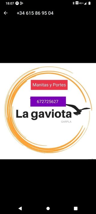 Portes , mudanzas , pintura , economicos