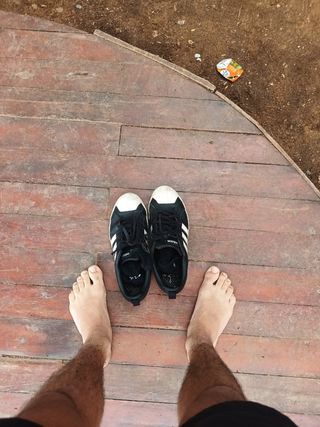 Bambas 