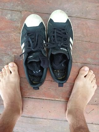 Bambas 