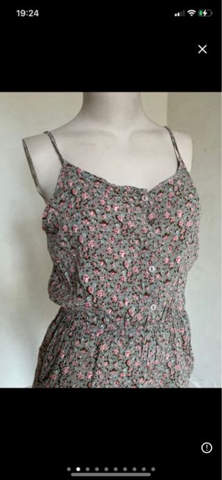 Mono corto verano