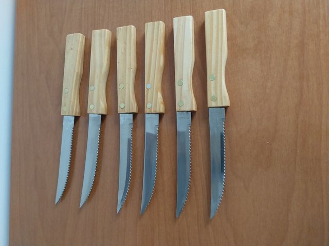 Set 6 coltelli acciaio inox con ceppo per carne