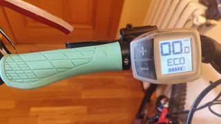 Ebike Moustache XRoad FS3 talla L Bosch 625