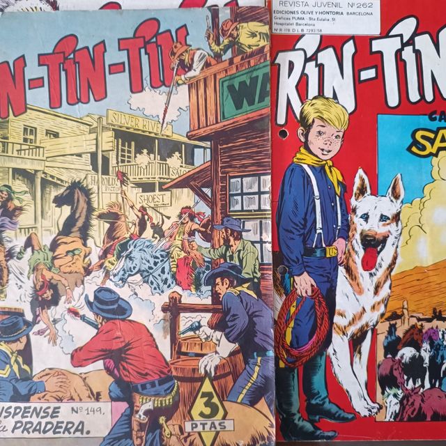 LOTE DE REVISTA DE COMIC RIN TIN TIN