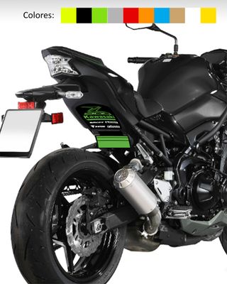 Adhesivos paso de rueda Z900