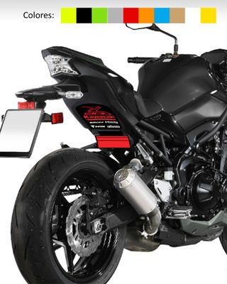 Adhesivos paso de rueda Z900