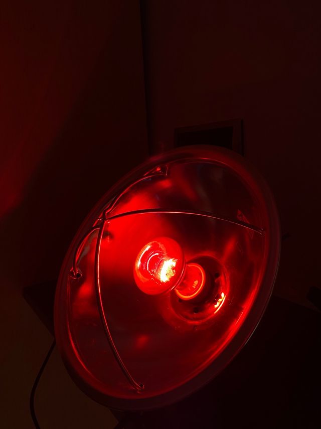 FOCO/LÁMPARA DE CALOR CON BOMBILLA