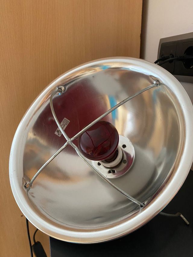 FOCO/LÁMPARA DE CALOR CON BOMBILLA