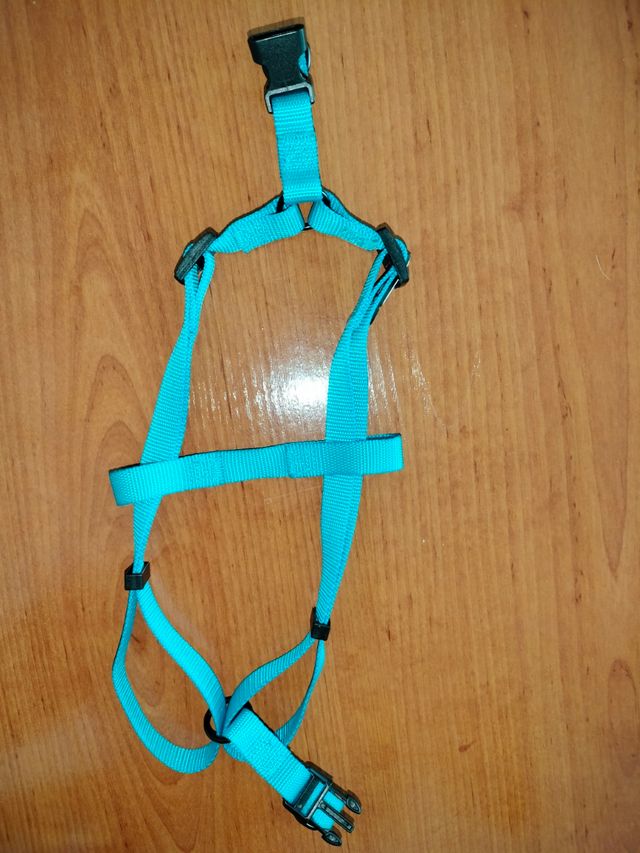 Arnés para perro pequeño XS