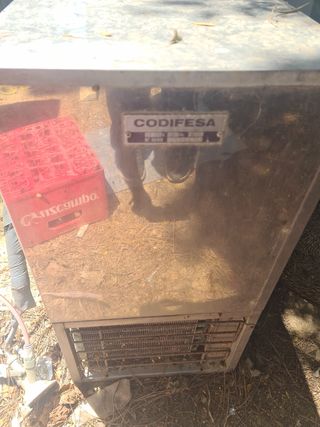 Grupo de cerveza 🍺