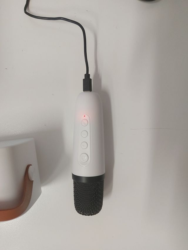 Cassa bluethoot con karaoke