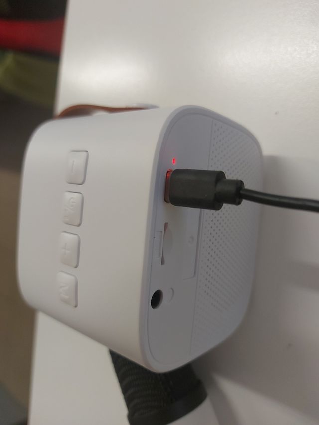 Cassa bluethoot con karaoke