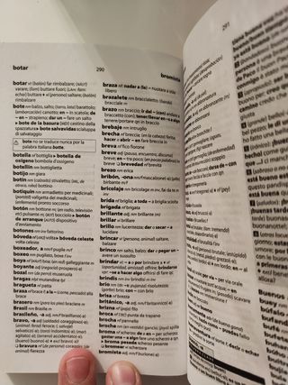 Diccionario italiano