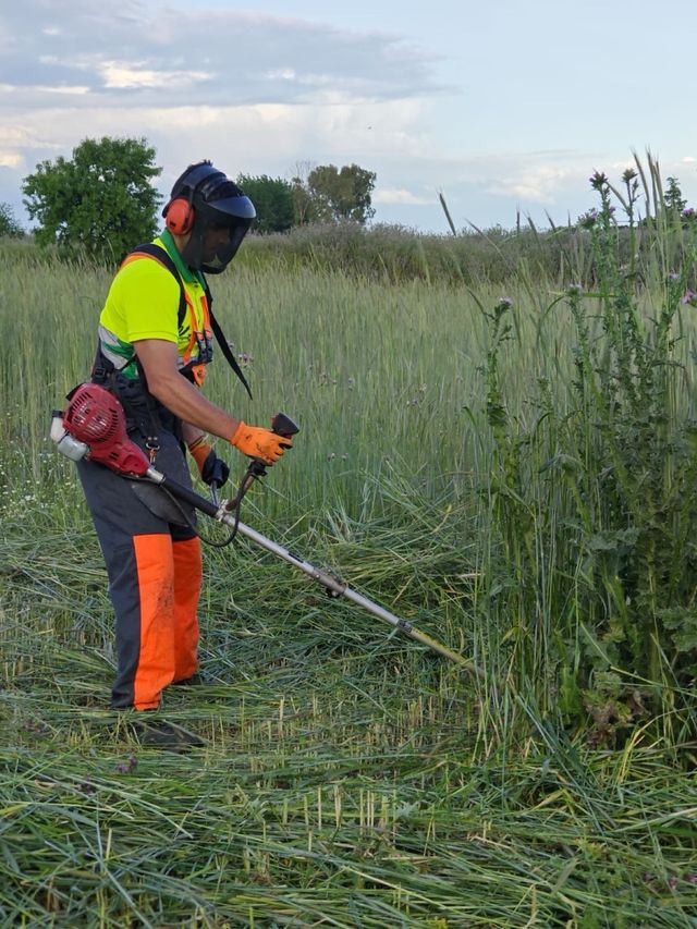 Desbroce de parcelas y fincas