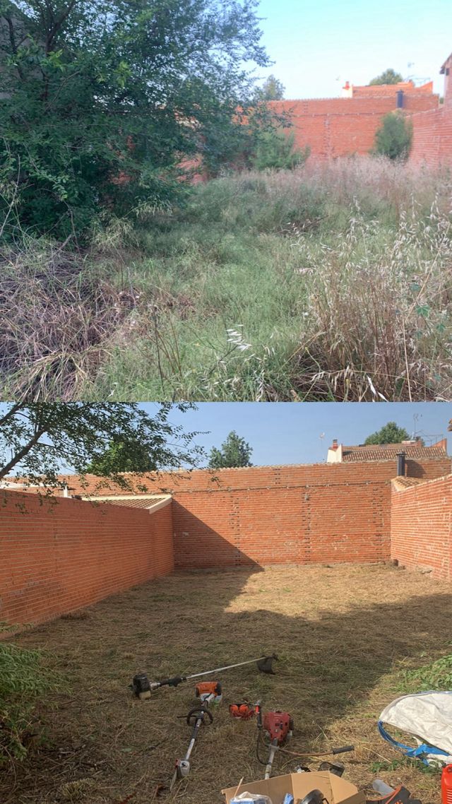 Desbroce de parcelas y fincas