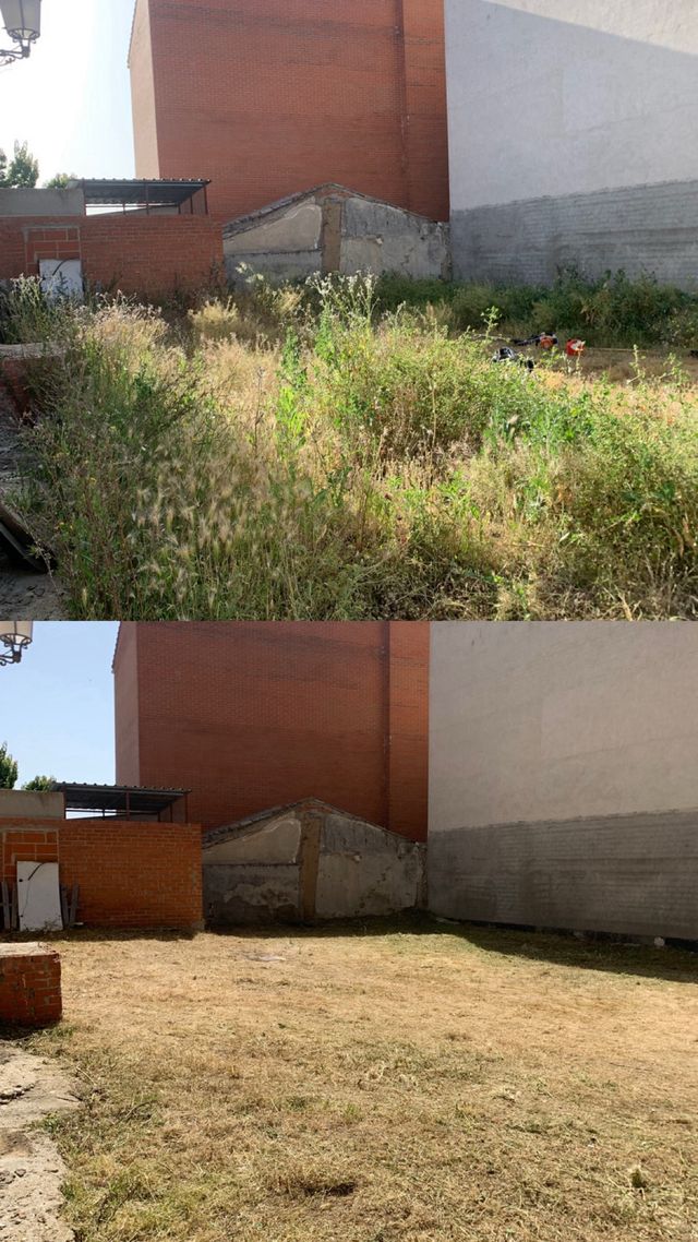 Desbroce de parcelas y fincas