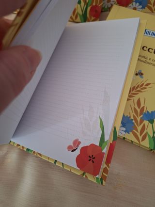 Agendine mulino bianco