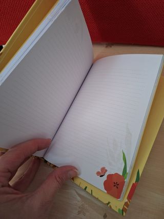 Agendine mulino bianco