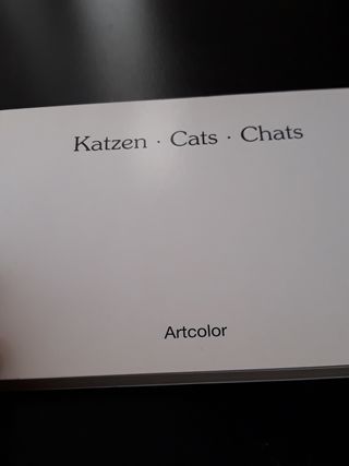 Cartas postales alemanas gatitos 30 piezas