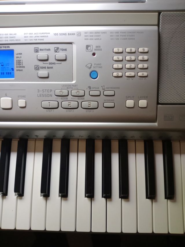Casio CTK 810