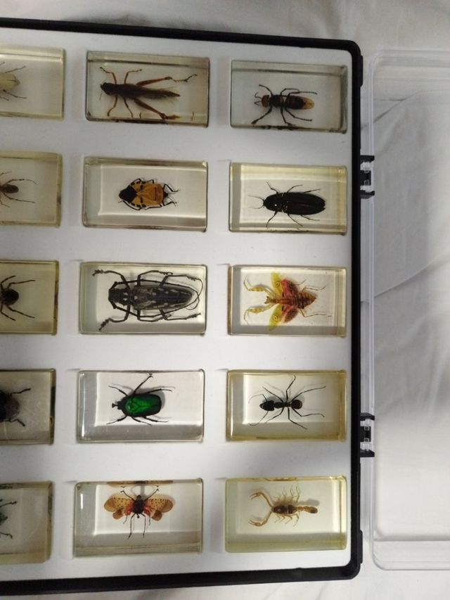 COLECCIÓN parte BICHOS 15 bichos