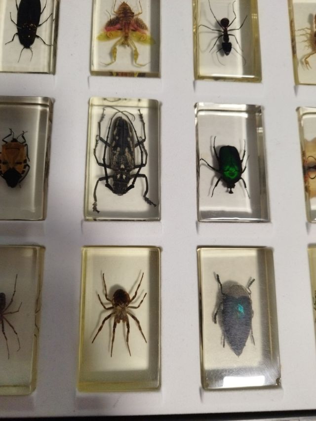 COLECCIÓN parte BICHOS 15 bichos