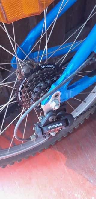 Bicicleta 
