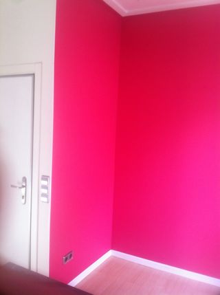 PINTOR PROFESIONAL TORRELODONES