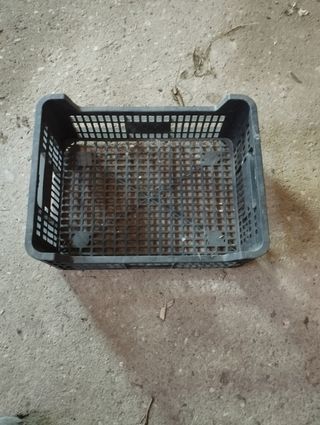 Caja de plástico
