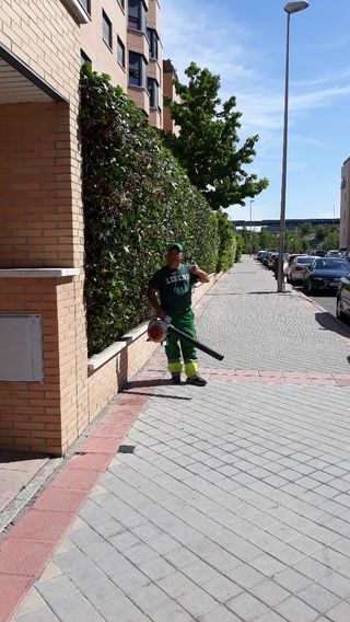 Jardinero  en ARAVACA y alrededores,