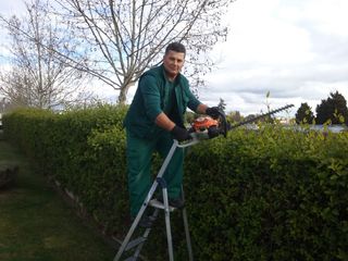 Jardinero  en ARAVACA y alrededores,