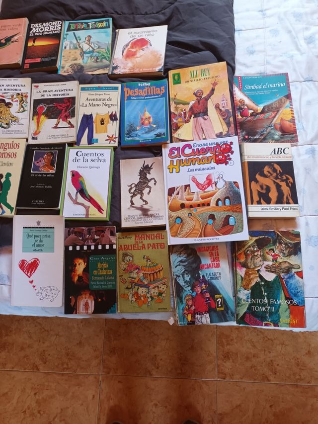 Lote de libros 