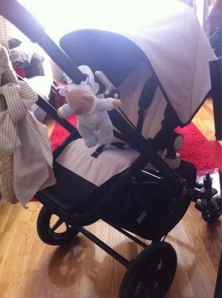 bugaboo cameleon