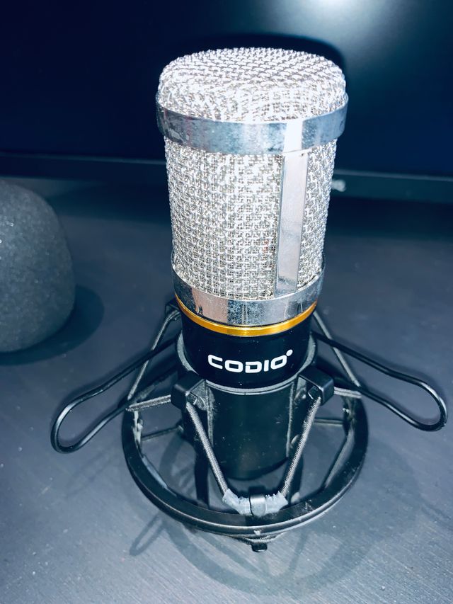 Microfono a condensatore