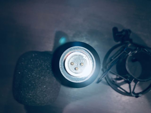 Microfono a condensatore