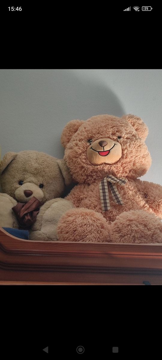 Lote osos de peluche