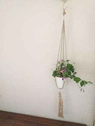 3 Portavaso macramé  Cuelga Macetas de pared 
