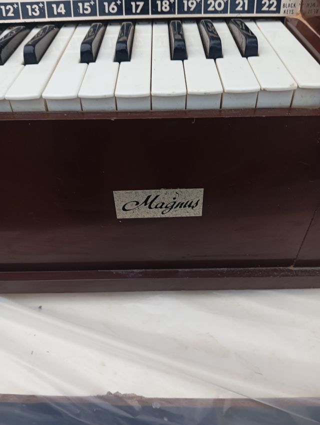 Órgano antiguo de plástico duro