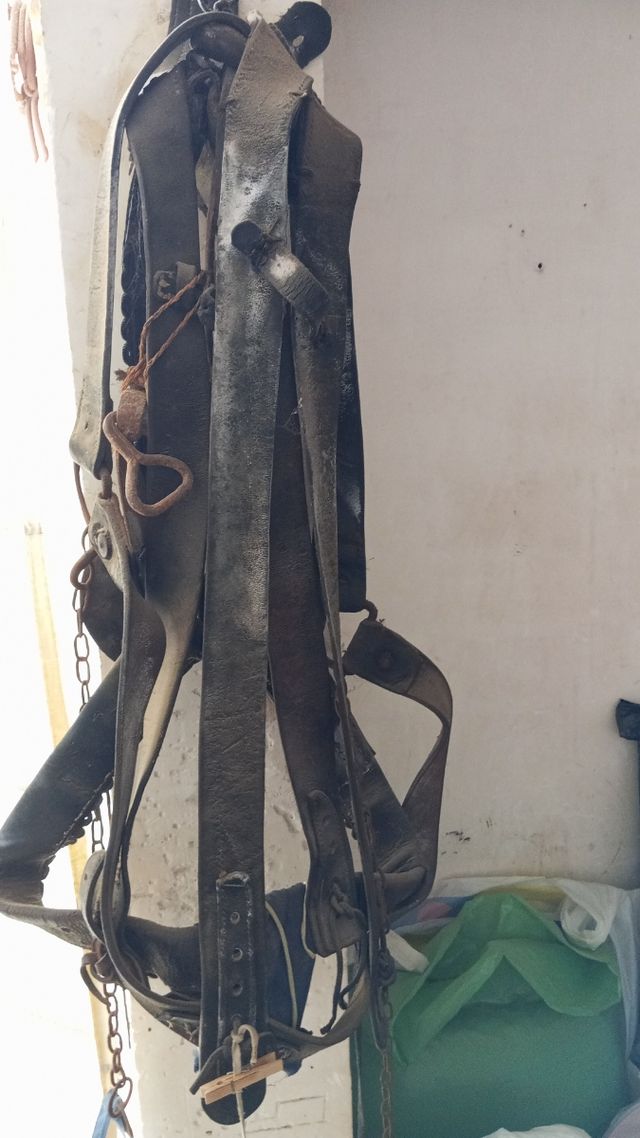 Attrezzi per cavalli