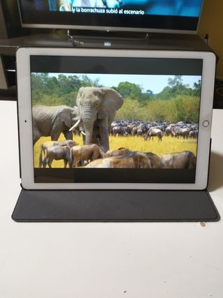 Liquidacion IPAD PRO 128GB 2015