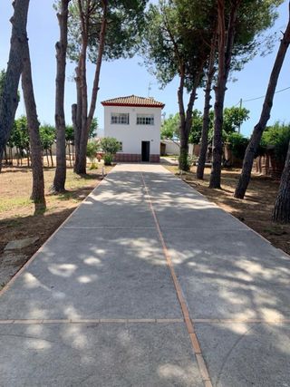 Alquiler Chalet en Chiclana, Cádiz