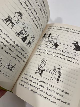 Diari del Greg 8(català)
