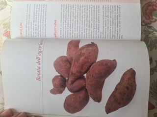 SALENTO -Lecce- Cucina e Gastronomia