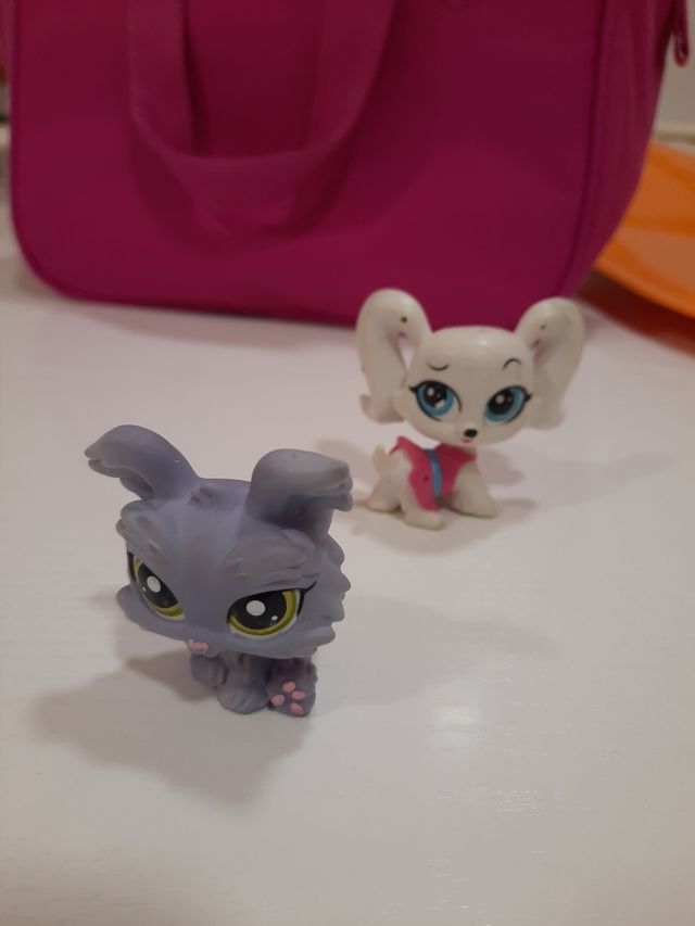 Pak littlest pet shop