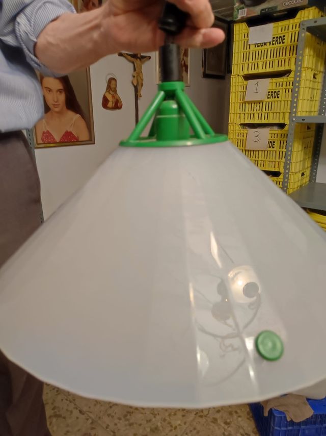 LAMPARA DE TECHO JUVENIL 