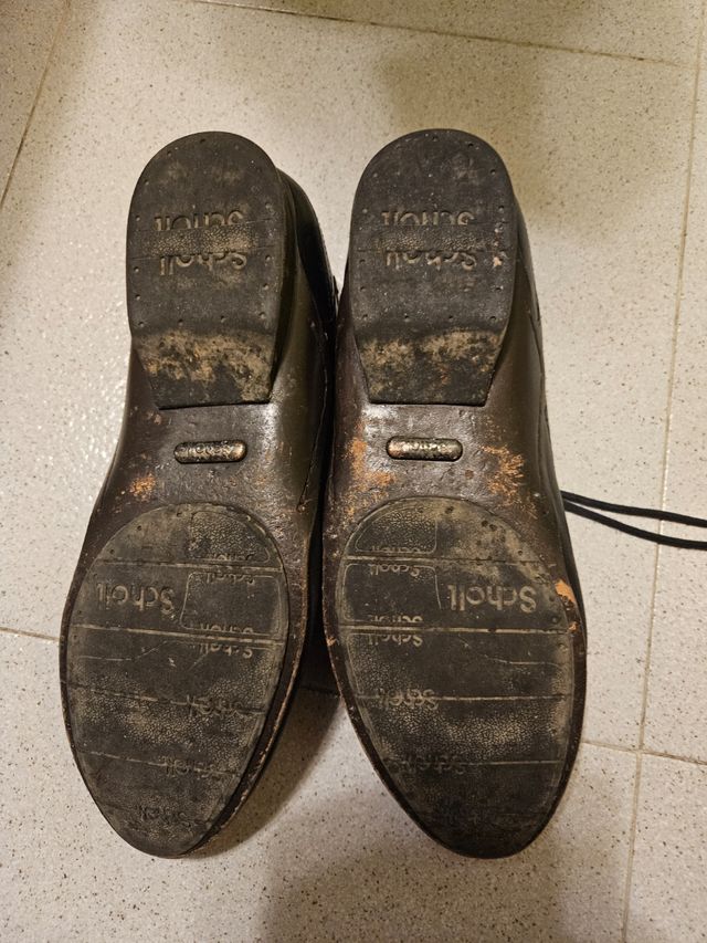 Zapatos Scholl