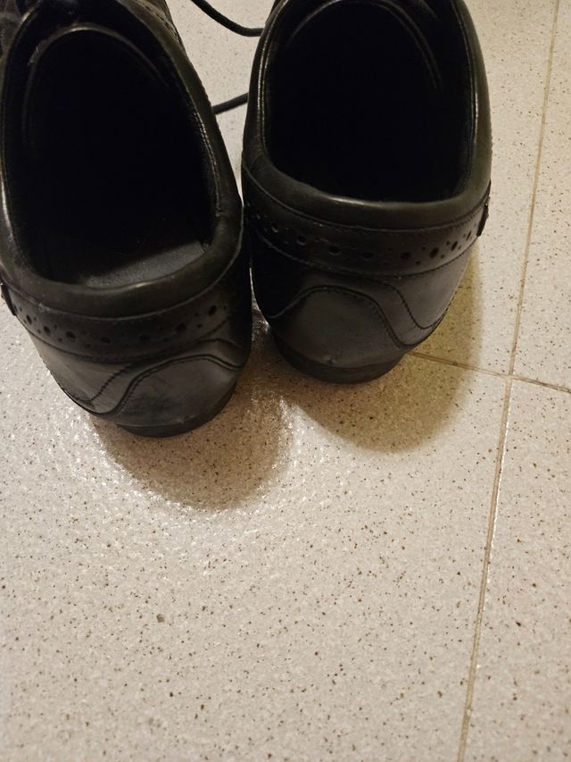 Zapatos Scholl